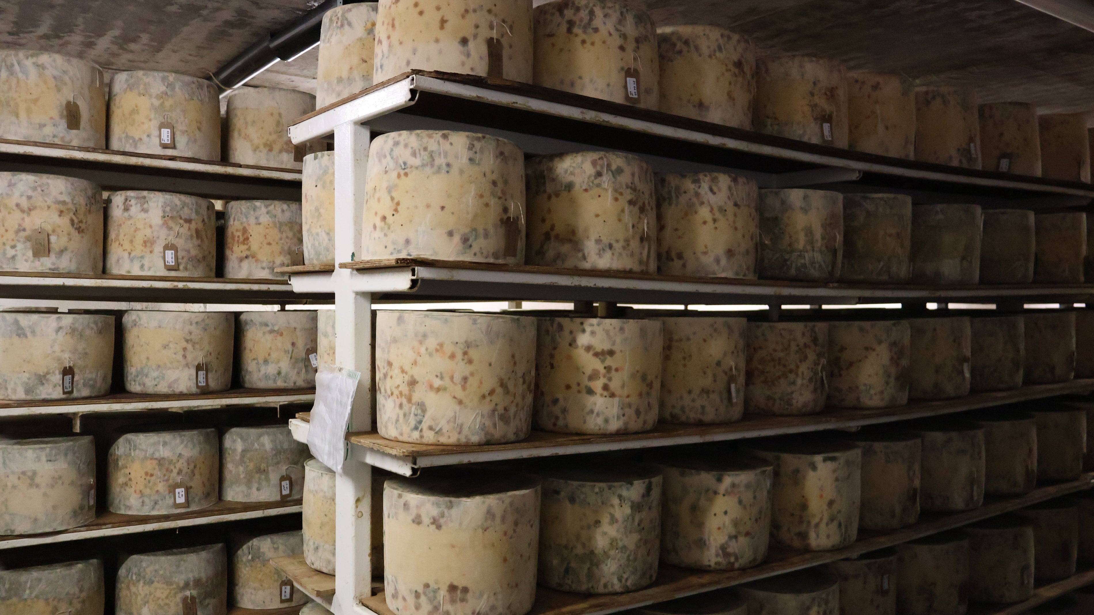 Cheesemonger Abroad: My Trip to Sgriob-Ruadh Farm on The Isle Of Mull, Scotland