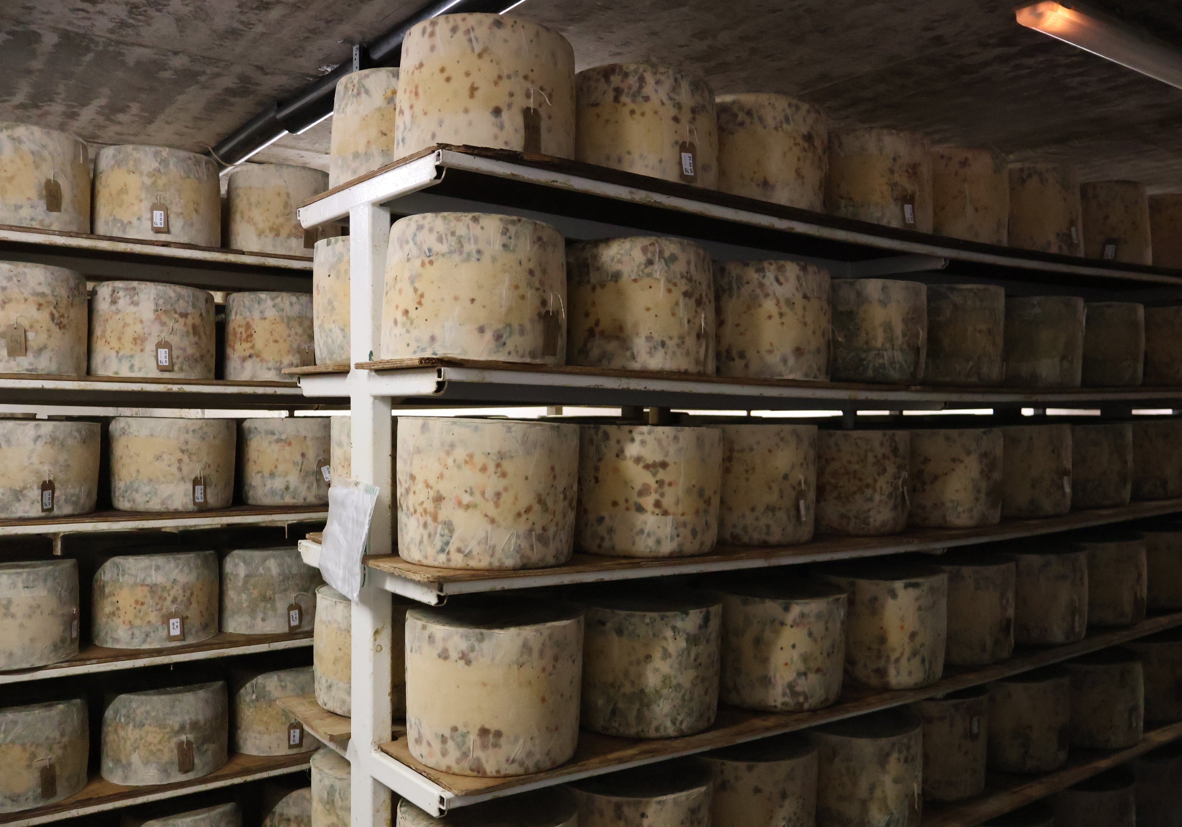 Cheesemonger Abroad: My Trip to Sgriob-Ruadh Farm on The Isle Of Mull, Scotland
