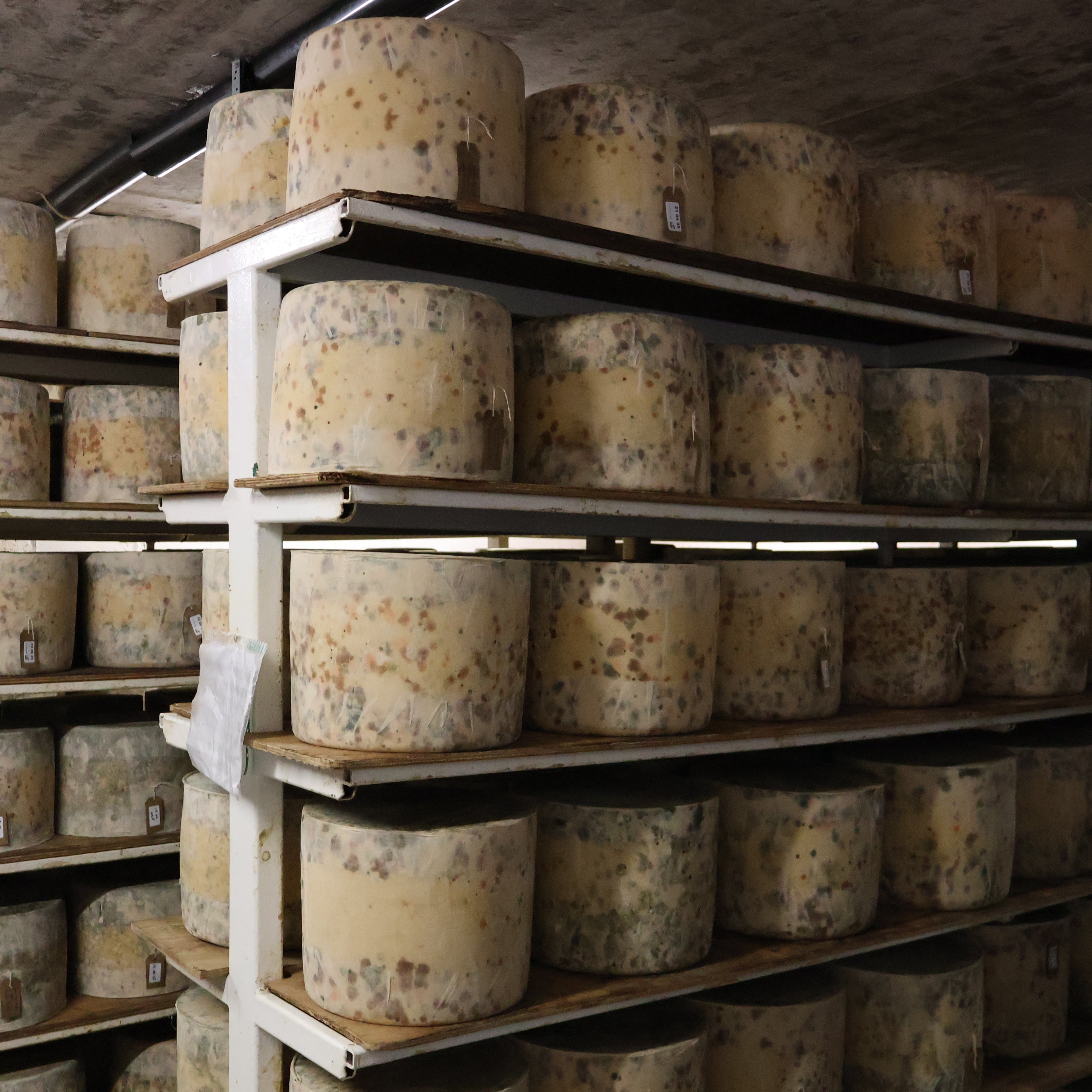 Cheesemonger Abroad: My Trip to Sgriob-Ruadh Farm on The Isle Of Mull, Scotland