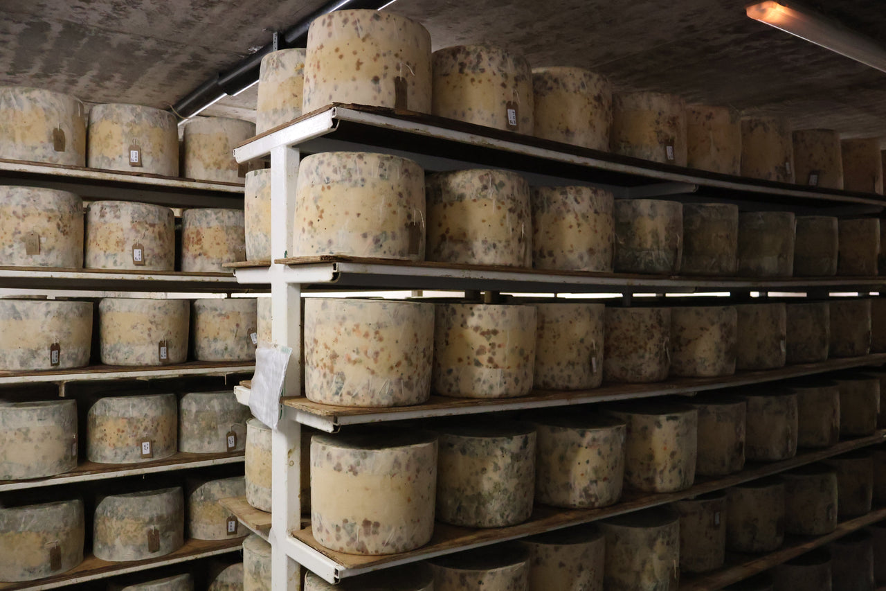 Cheesemonger Abroad: My Trip to Sgriob-Ruadh Farm on The Isle Of Mull, Scotland