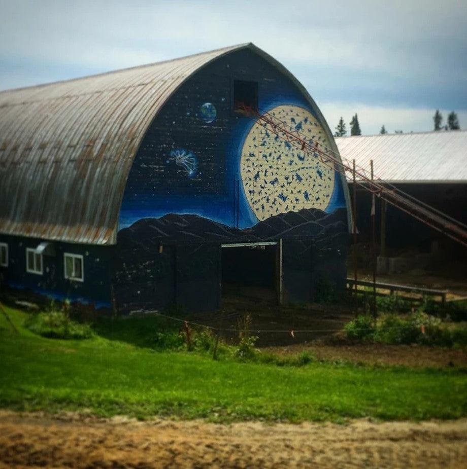 A Cheesemonger at Cheese Camp