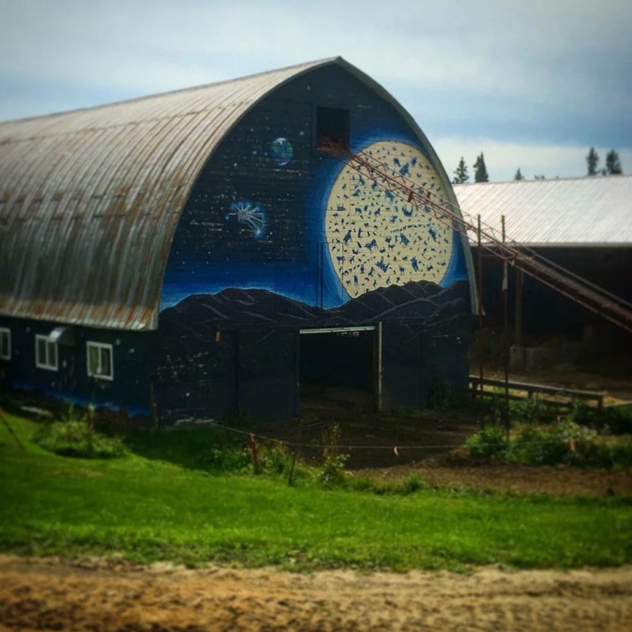 A Cheesemonger at Cheese Camp