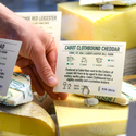Autumn Seasonal Cheese Tasting