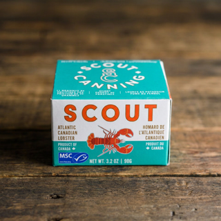 Scout Canning Atlantic Lobster