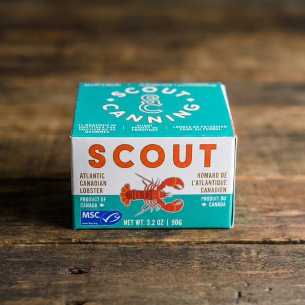 Scout Canning Atlantic Lobster